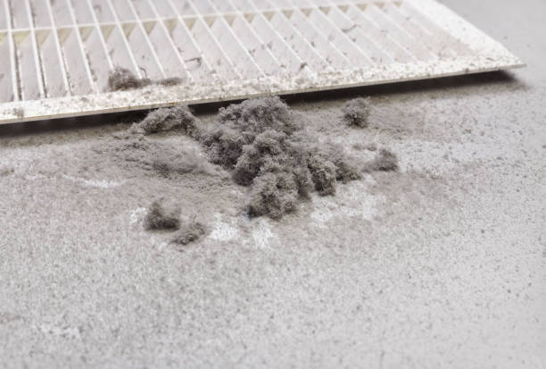 Best Residential Air Duct Cleaning  in Centreville, AL