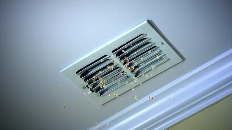 Best HVAC Duct Inspection Services  in Centreville, AL
