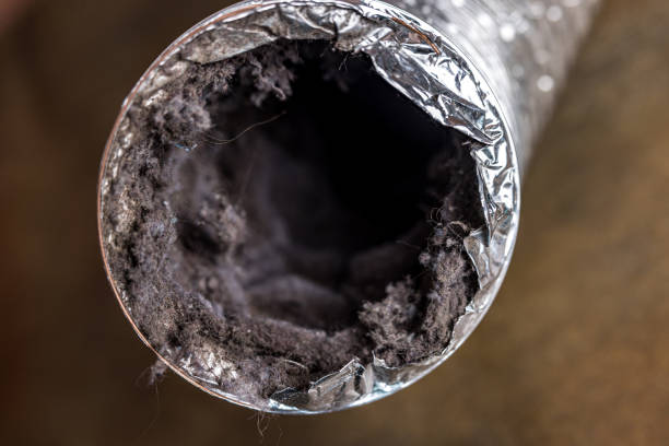 Best Ventilation Cleaning Services  in Centreville, AL