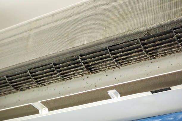Best Affordable HVAC Duct Cleaning  in Centreville, AL